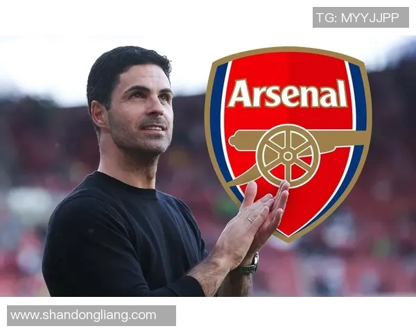 法国足球明星内的传奇故事与辉煌成就探秘